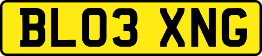 BL03XNG