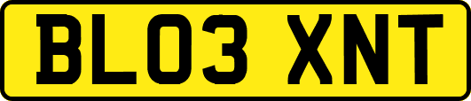 BL03XNT