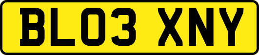 BL03XNY