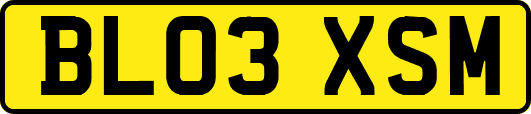 BL03XSM