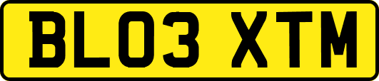 BL03XTM