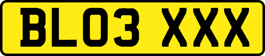 BL03XXX