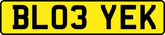 BL03YEK