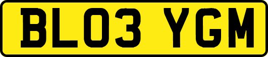 BL03YGM