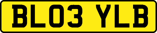 BL03YLB