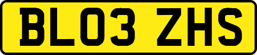 BL03ZHS