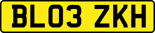 BL03ZKH