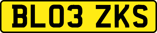 BL03ZKS