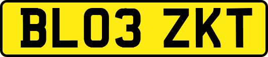 BL03ZKT