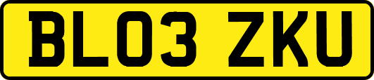 BL03ZKU