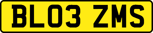 BL03ZMS