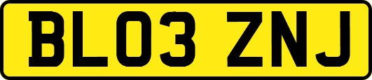 BL03ZNJ