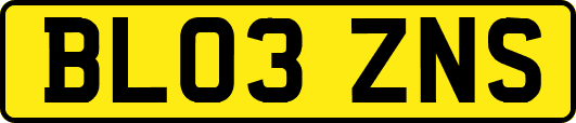 BL03ZNS
