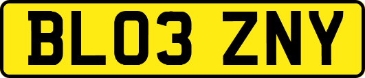 BL03ZNY