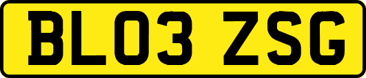 BL03ZSG