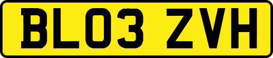 BL03ZVH
