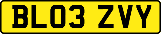 BL03ZVY