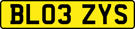 BL03ZYS