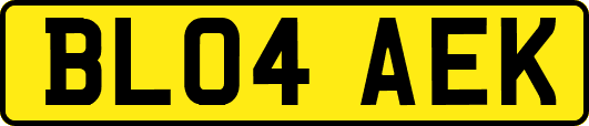 BL04AEK