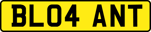 BL04ANT