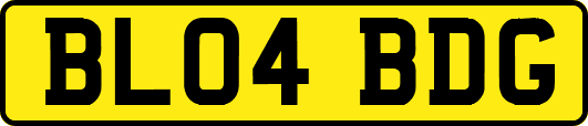 BL04BDG