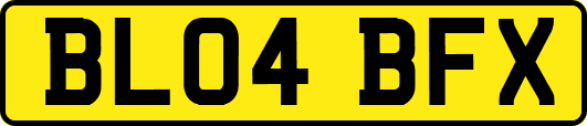 BL04BFX