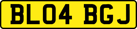 BL04BGJ