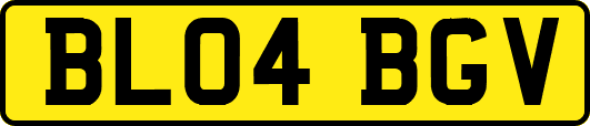 BL04BGV