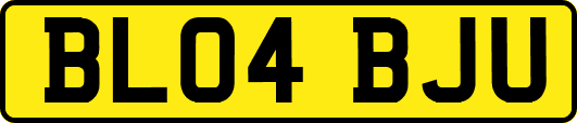 BL04BJU