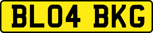 BL04BKG