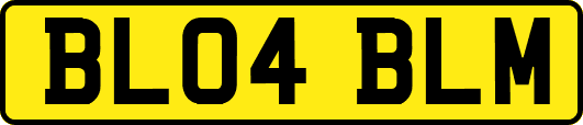 BL04BLM