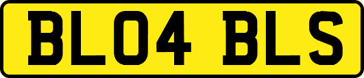 BL04BLS