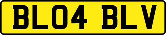 BL04BLV