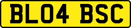 BL04BSC