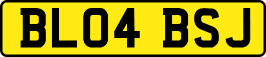 BL04BSJ