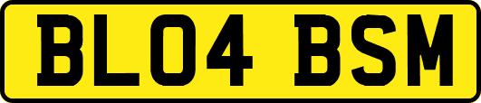 BL04BSM