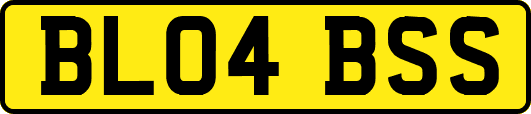 BL04BSS