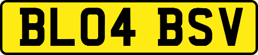 BL04BSV