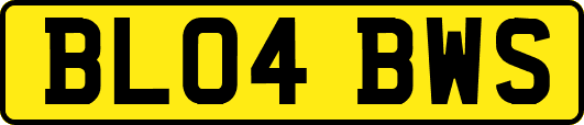 BL04BWS