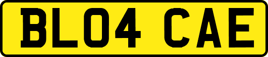 BL04CAE