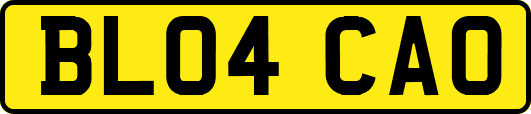 BL04CAO