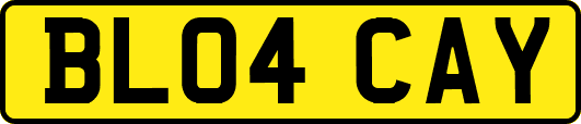 BL04CAY