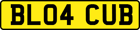 BL04CUB