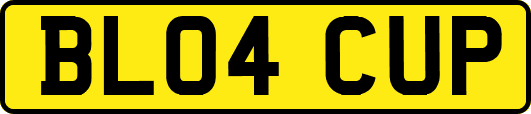 BL04CUP
