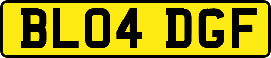 BL04DGF
