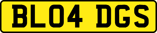 BL04DGS