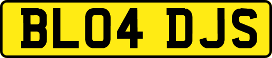 BL04DJS