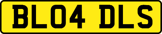 BL04DLS