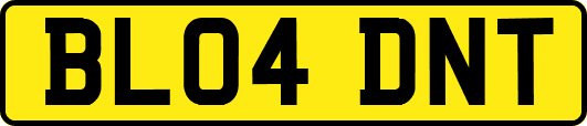 BL04DNT
