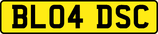 BL04DSC
